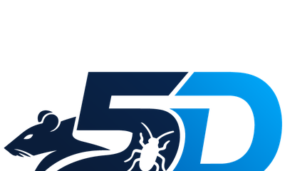 5D Services
